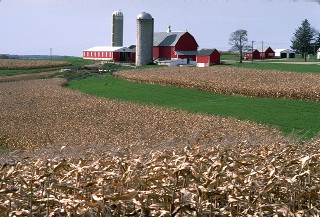 Barn and Crops