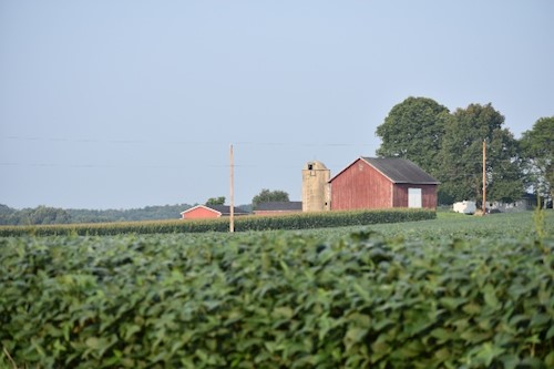 barn